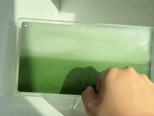 Blue Brook in the Mist